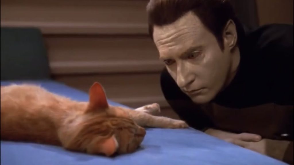 data next generation star trek
